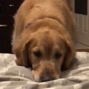 Meet your Posher, Dana